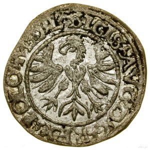 Půlpenny, 1566, Tykocin; odrůda s malým erbem Jastrzę....