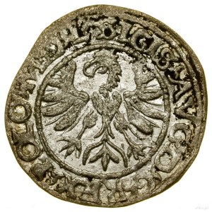 Half-penny, 1566, Tykocin; a variety with a small Jastrzę coat of arms....