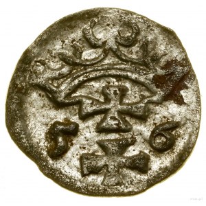 Denar, 1556, Gdańsk