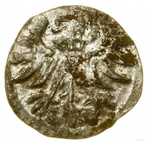 Denar, 1556, Gdańsk