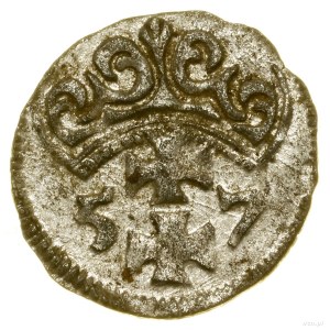 Denar, 1557, Gdansk