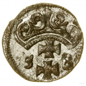 Denar, 1558, Danzig