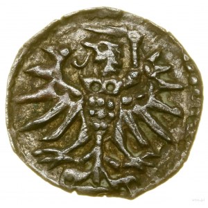 Denar, 1555, Elbląg; Białk.-Szw. 447 (R3), CNCE 232 (R4...