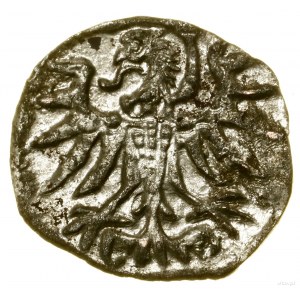 Denar, 1557, Elbląg; Białk.-Szw. 449 (R3), CNCE 234 (R3...