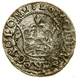 Half-penny, 1620, Bydgoszcz; in the obverse legend POLON; Ko...