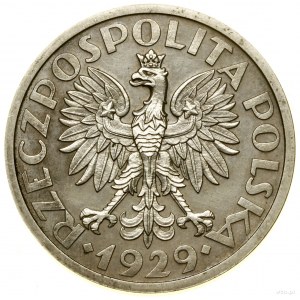 1 złoty, 1929, Warszawa; nominał w wieńcu z liści, wypu...