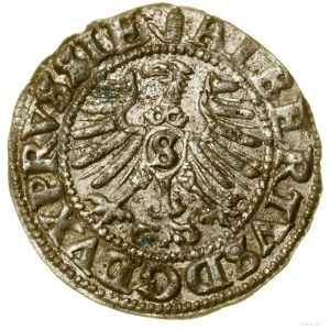 Szeląg, 1557, Królewiec; wariant z “basztą” u góry awer...