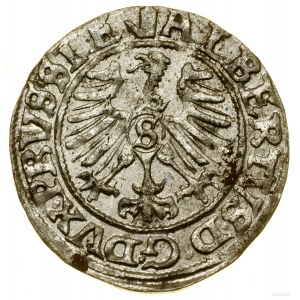 Szeląg, 1559, Królewiec; Kop. 3769 (R), Slg Marienburg ...