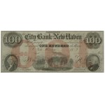 Blanko 100 Dollar Note, 18... (1860er Jahre 19. Jahrhundert...