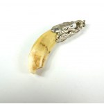 Pendant boar fang, weight 7.4g, length about 5cm [57].