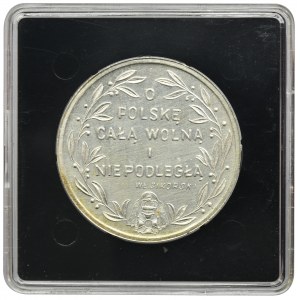 Medal Władysław Sikorski, For a free and independent Poland