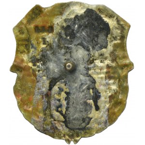 PSZnZ, Anniversary Badge of the Lesser Poland Volunteer Army Units Lviv 1938