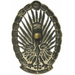 Second Polish Republic, Border Protection Corps soldiers badge