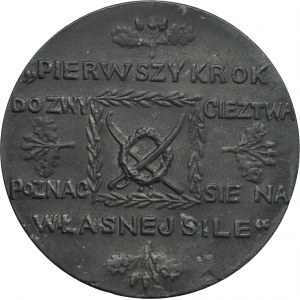 Medal 100th anniversary of the death of Tadeusz Kościuszko 1917