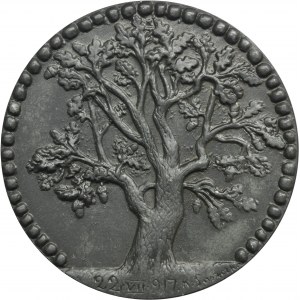 Medal Jozef Piłsudski Creator of Legions 1917