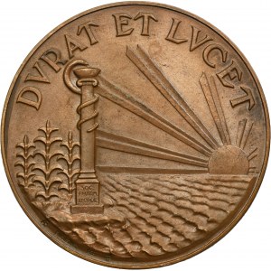 Medal 60th anniversary of the foundation of the Pharmaceutical Society in Lviv 1928