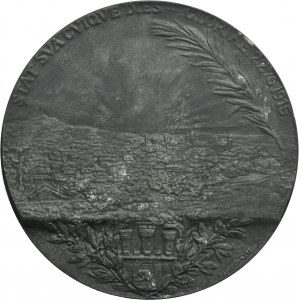 Medal of Edward Böhm-Ermolli, commander of the troops occupying Lviv in 1915