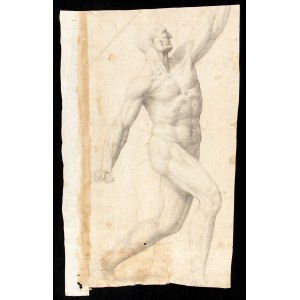 ROMAN SCHOOL, FIRST HALF OF THE 18th CENTURY, Anatomic study of male figure