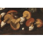 ANGELO MARIA ROSSI FORMERLY KNOWN AS PSEUDO-FARDELLA (active in Tuscany in the second half of the 17th Century), Still life of fruit, artichokes and mushrooms