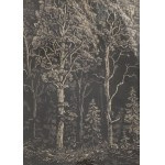 Rudolf Riege, Forest