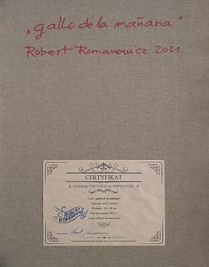 Robert Romanowicz (ur.1976), 