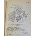 OLSZEWICZ Bolesław - LEGENDY GEOGRAFICZNE ŚREDNIOWIECZA z 14 ilustracjami Biblioteczka Geograficzna ,,ORBIS''