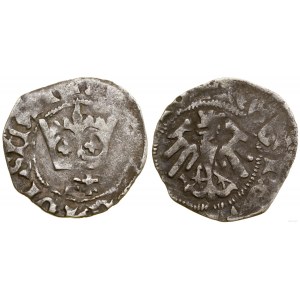 Polen, Kronen-Halbpfennig, ohne Datum (1412-1414), Krakau