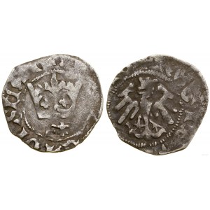 Poland, crown half-penny, no date (1412-1414), Cracow