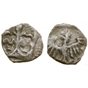 Poland, crown denarius, no date