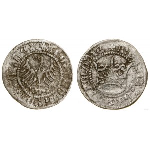 Polen, Kronen-Halbpfennig, ohne Datum (1502-1506), Krakau