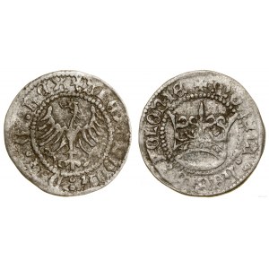 Polska, pólgrosz koronny, bez daty (1502-1506), Kraków