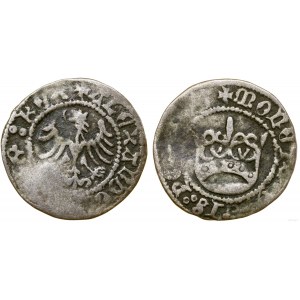 Polen, Kronen-Halbpfennig, ohne Datum (1502-1506), Krakau