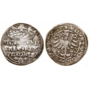 Polen, Pfennig, 1527, Krakau