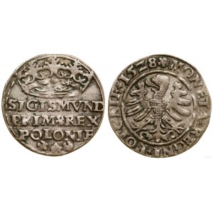 Polska, grosz, 1528, Kraków