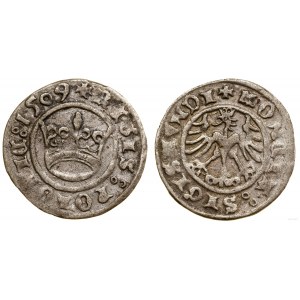Polen, halber Pfennig, 1509, Krakau