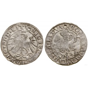 Poland, penny, 1536 A, Vilnius