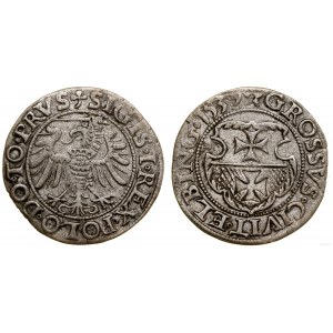 Polen, Pfennig, 1539, Elbląg