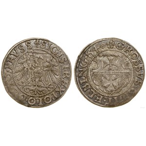 Polen, Pfennig, 1540, Elbląg