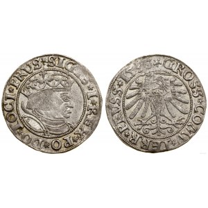 Polen, Pfennig, 1533, Toruń