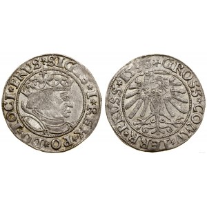 Poland, penny, 1533, Torun