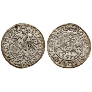 Poland, half-penny, 1547, Vilnius