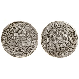 Polen, litauischer Halbpfennig, 1547, Vilnius