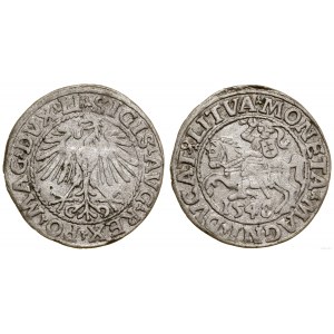 Polska, półgrosz, 1548, Wilno