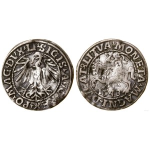 Poland, half-penny, 1548, Vilnius