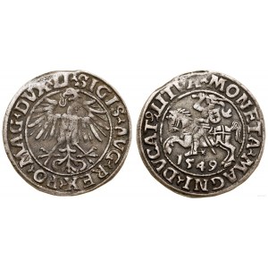 Polen, halber Pfennig, 1549, Vilnius