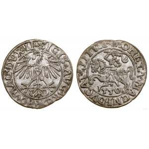 Polska, półgrosz, 1550, Wilno