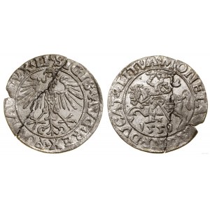 Polen, halber Pfennig, 1551, Vilnius