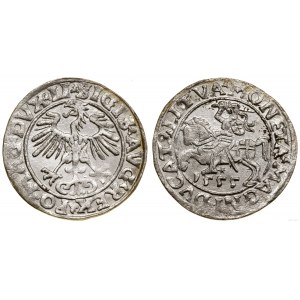 Poland, half-penny, 1555, Vilnius