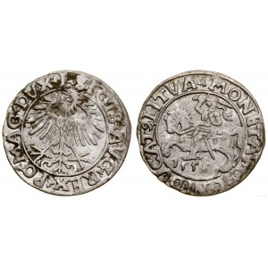 Poland, half-penny, 1556, Vilnius