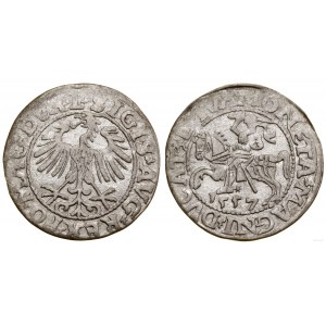 Polen, halber Pfennig, 1557, Vilnius